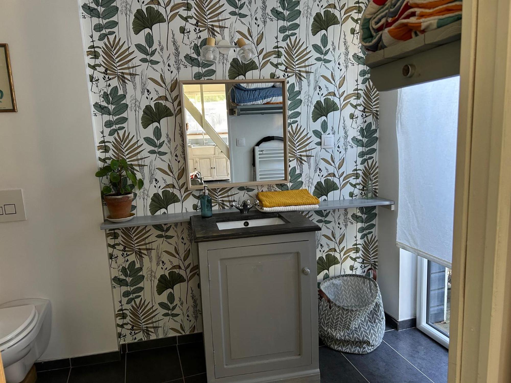 Gîte Bambou Saint-Lunaire Extérieur photo